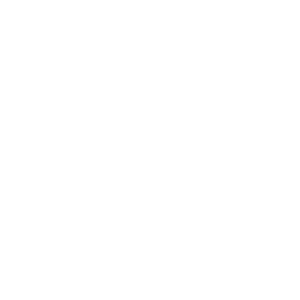 Bremsschl&auml;uche
