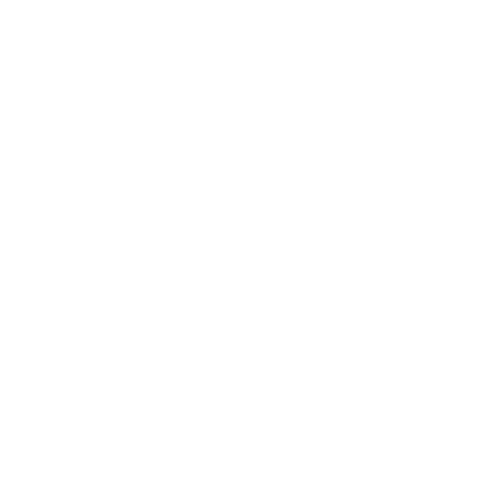 Elektrik
