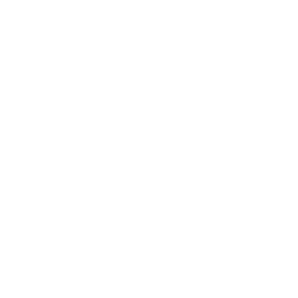Riementrieb
